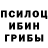 Галлюциногенные грибы прущие грибы Darknes pro
