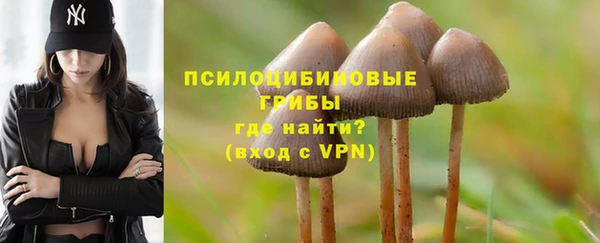 мескалин Надым