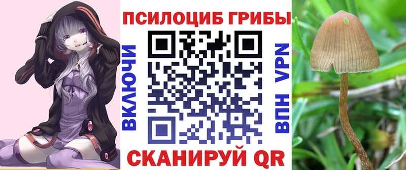 Псилоцибиновые грибы прущие грибы как найти закладки МЕГА ССЫЛКА Фёдоровский